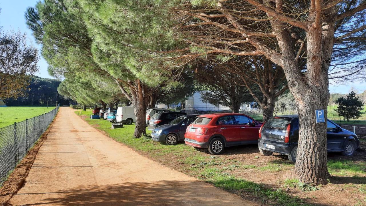 El Oasis de Anayansi Villa Vejer de la Frontera Exterior foto