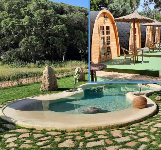 El Oasis de Anayansi Villa Vejer de la Frontera Exterior foto