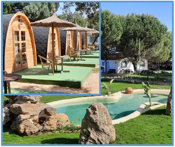 El Oasis de Anayansi Villa Vejer de la Frontera Exterior foto